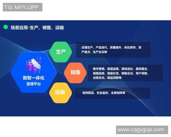 探索体育产品新零售平台的创新模式与市场前景分析